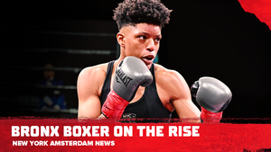 Bronx Boxer on the Rise Image